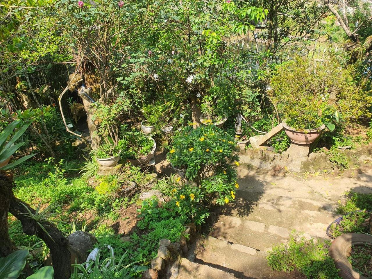 Sapa Garden Bungalow Exterior foto